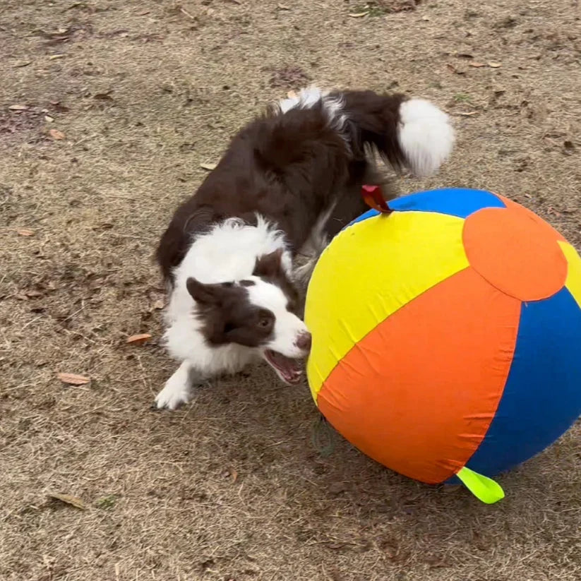 CutyPet™ Giant Ball