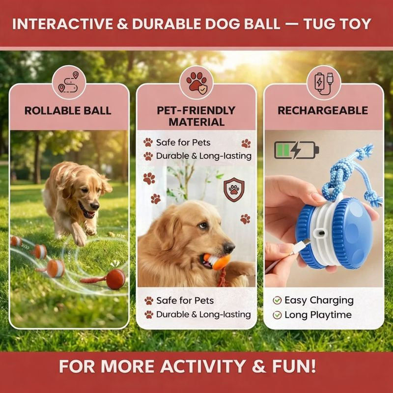 TailChase - Interactive Dog Toy