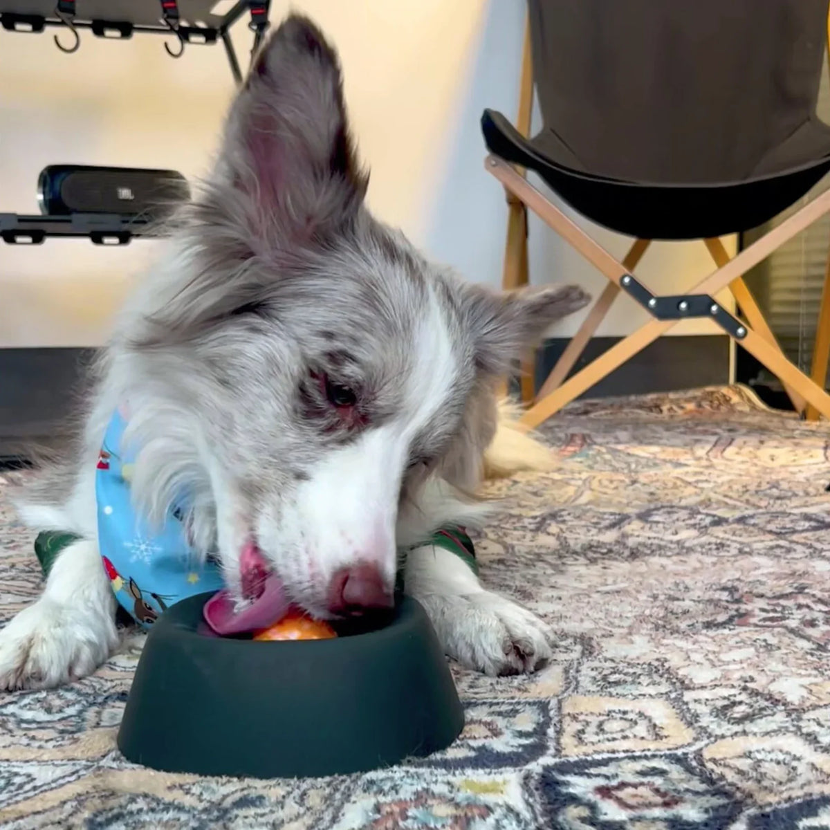 Calming Lick Bowl