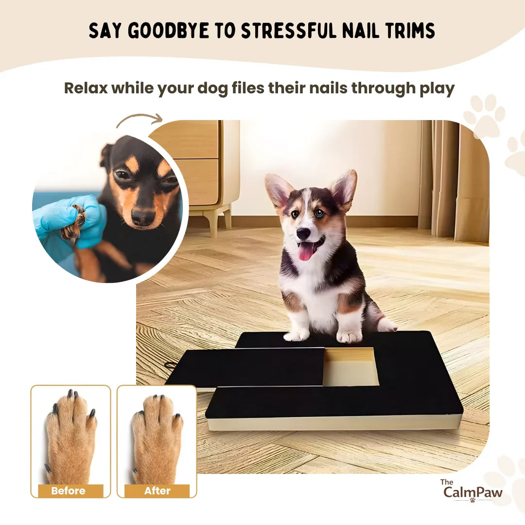 Dog Nail Scratch Board