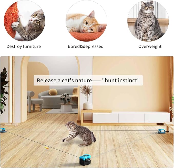 CutyRun™ - Interactive Toy