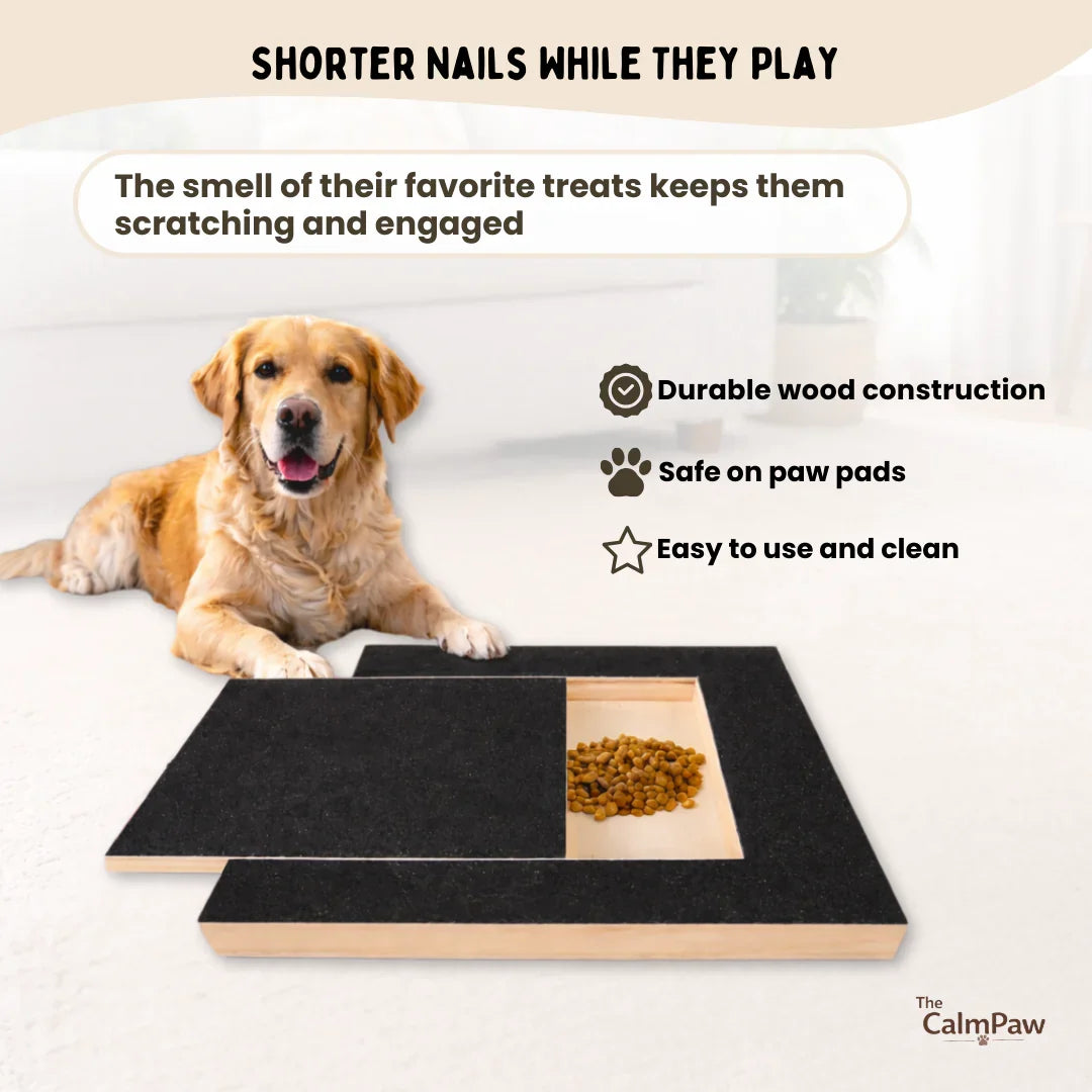 Dog Nail Scratch Board