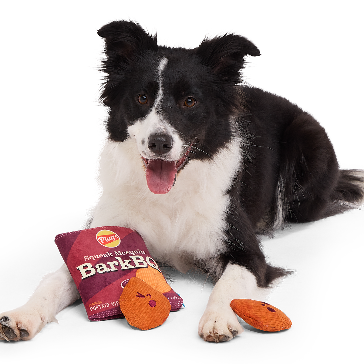 BarkBQ Chips Plush Multi-Part + Enrichment Dog Toy