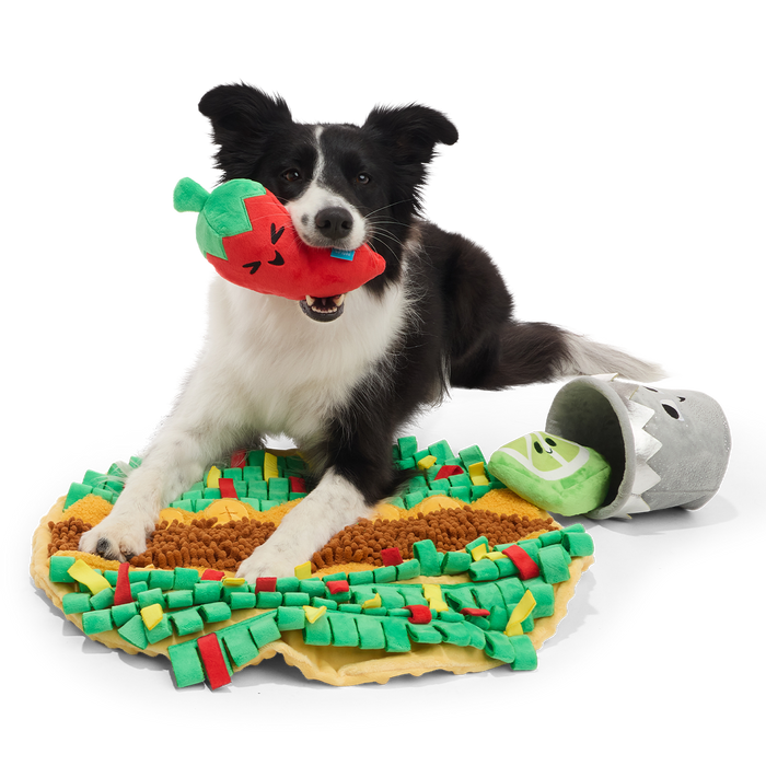 Extra-Snuffed Burrito Plush Extra-Large + Multi-Part + Enrichment Dog Toy