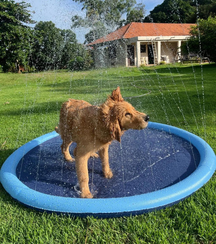 CutySplash™