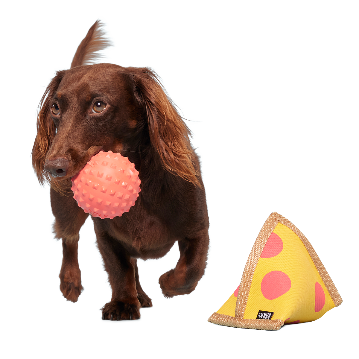 Lil Squeaker's Pizza Super Chewer Durable 2-in-1 Fetch Dog Toy
