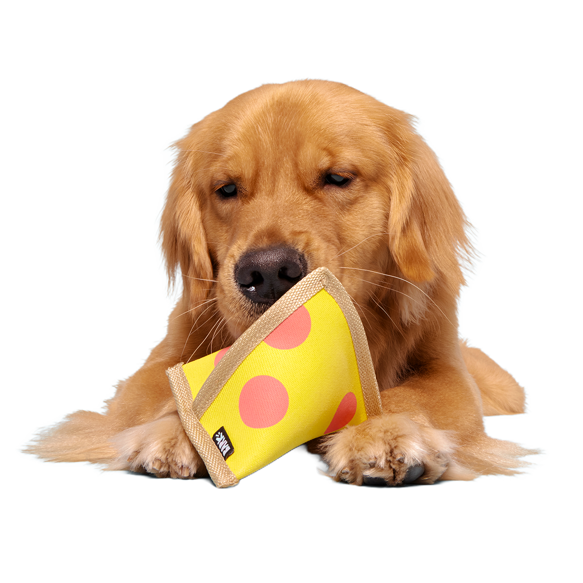 Lil Squeaker's Pizza Super Chewer Durable 2-in-1 Fetch Dog Toy