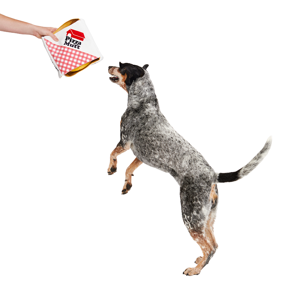 Pizza Pawty Plush Multi-Part + Enrichment Dog Toy