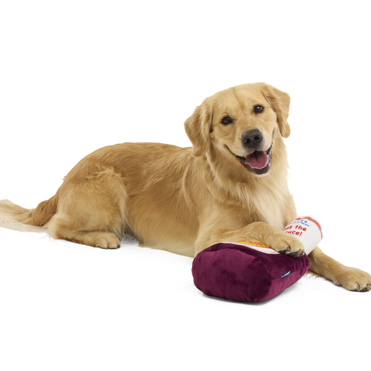 Big Dog BarkBQ Sauce Plush Extra-Large Dog Toy