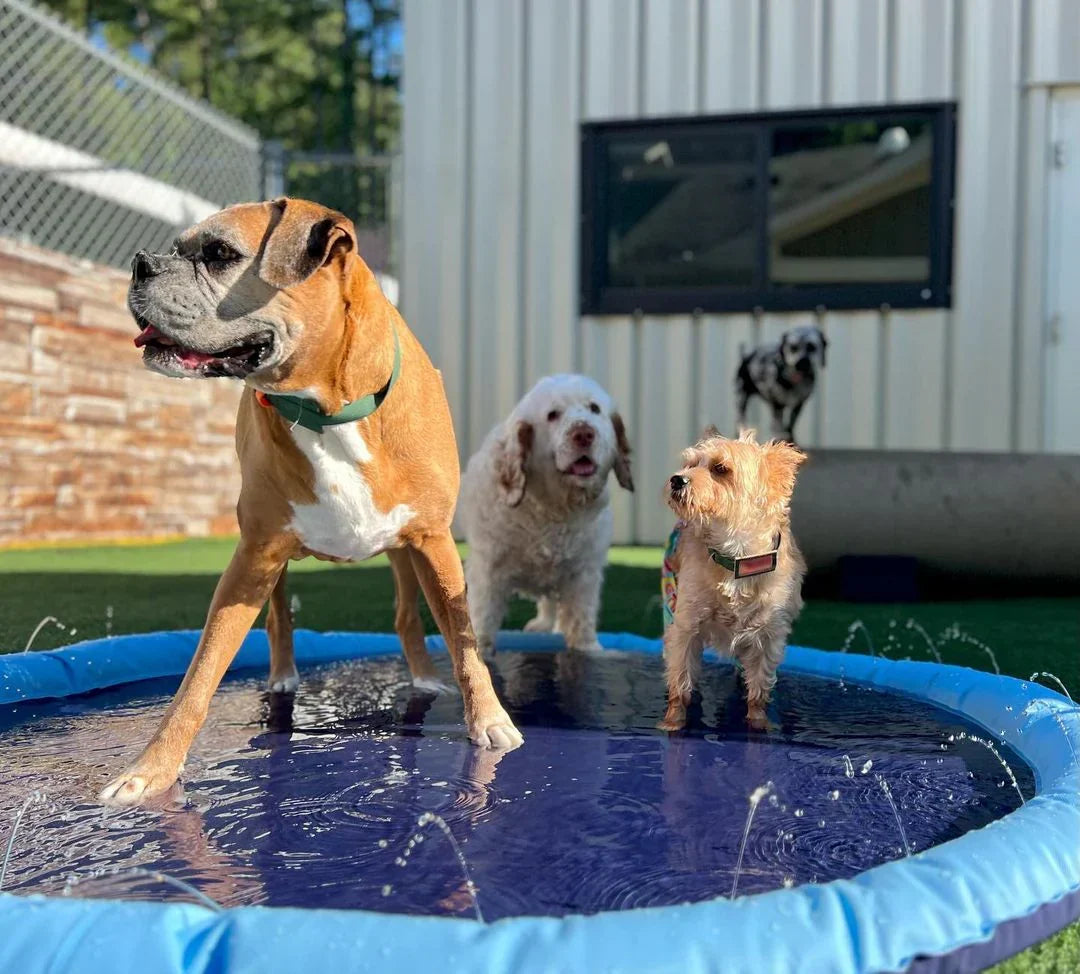 CutySplash™