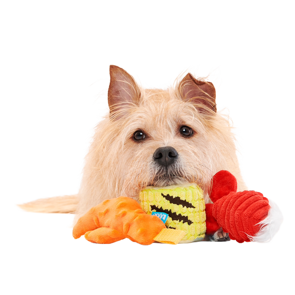 The Maine Event Plush Multi-Part Dog Toy