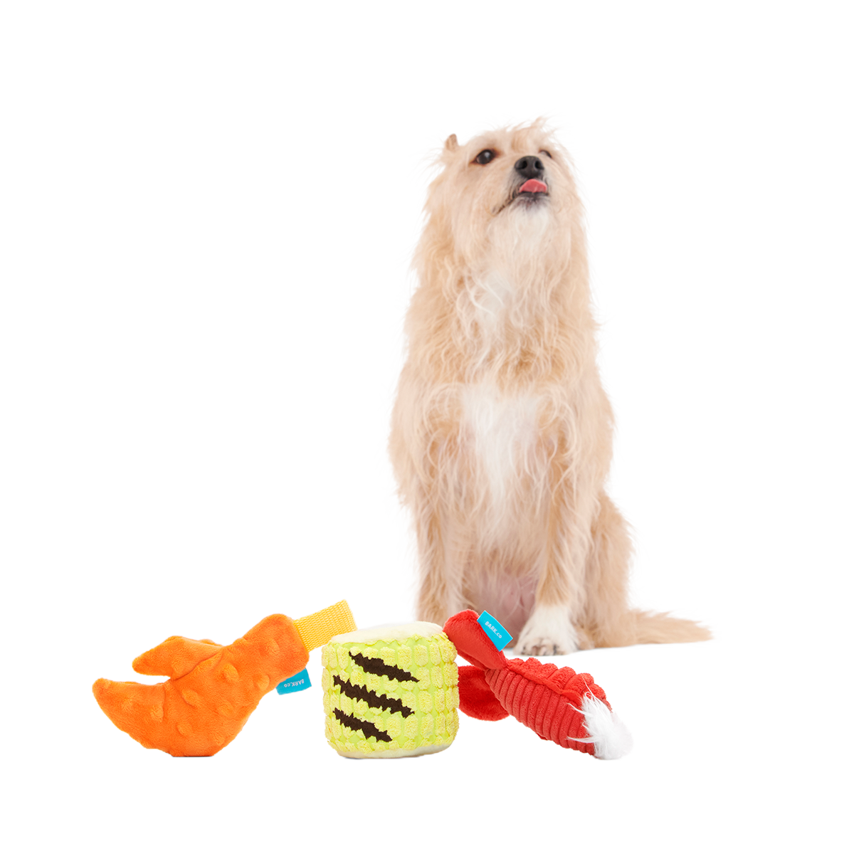 The Maine Event Plush Multi-Part Dog Toy