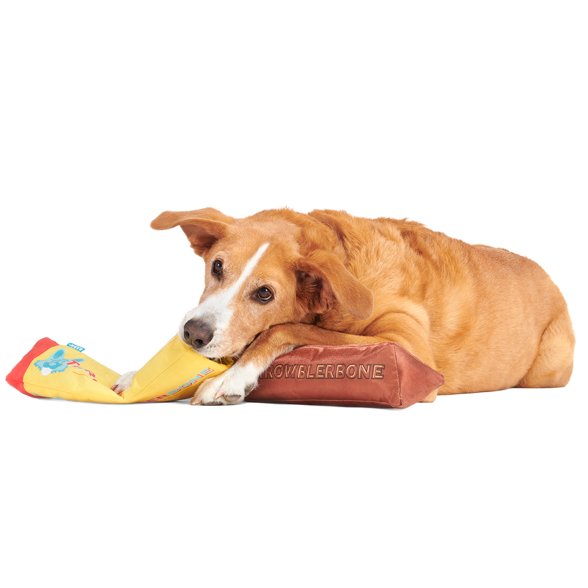 ThrowblerBone Plush Extra-Large + Multi-Part + Enrichment Dog Toy