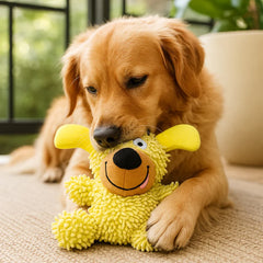 Squeaky Tooth Cleaning Toy