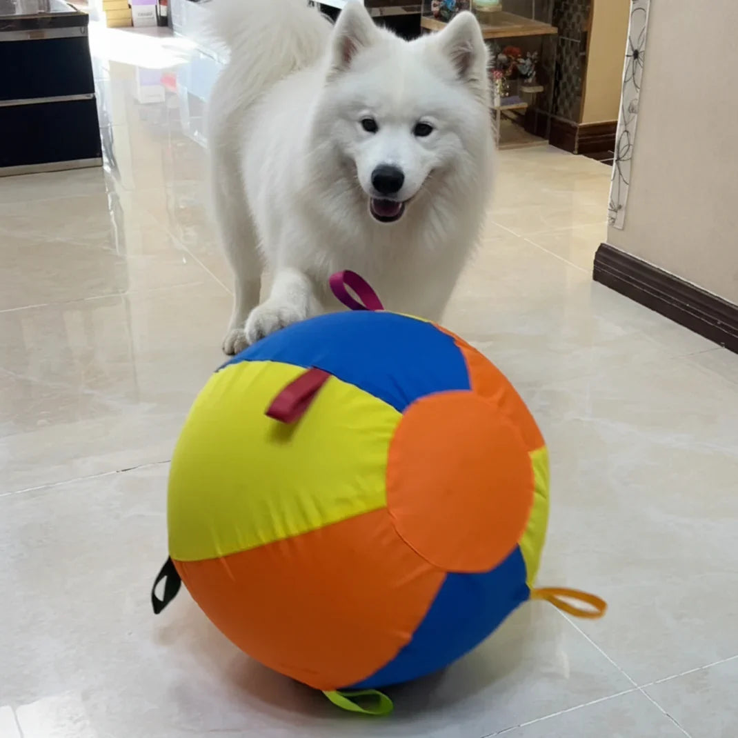CutyPet™  Giant Ball