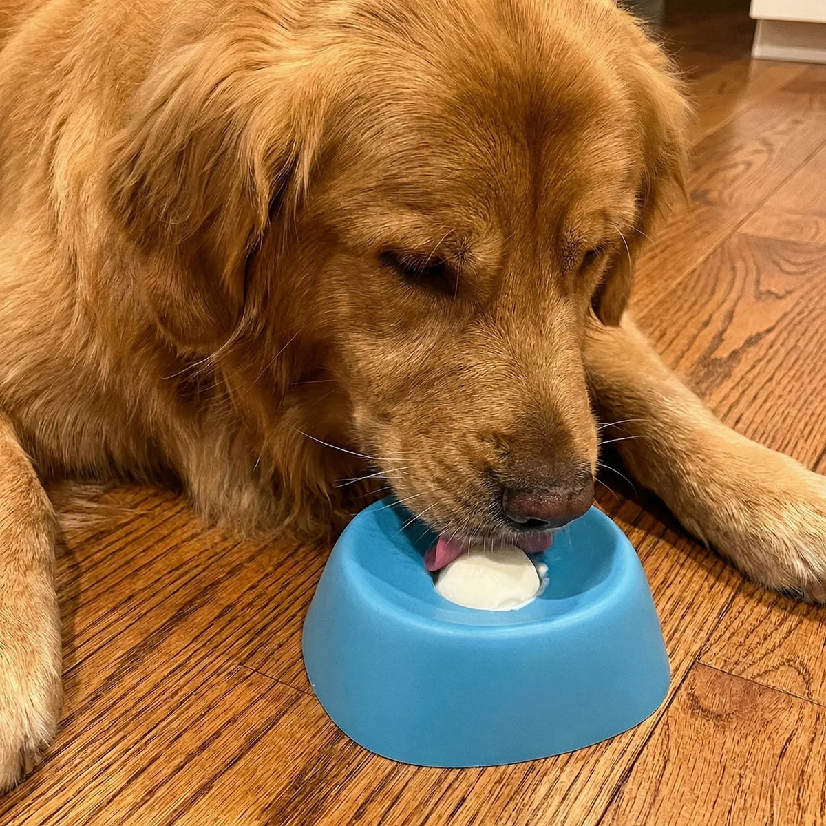 Calming Lick Bowl