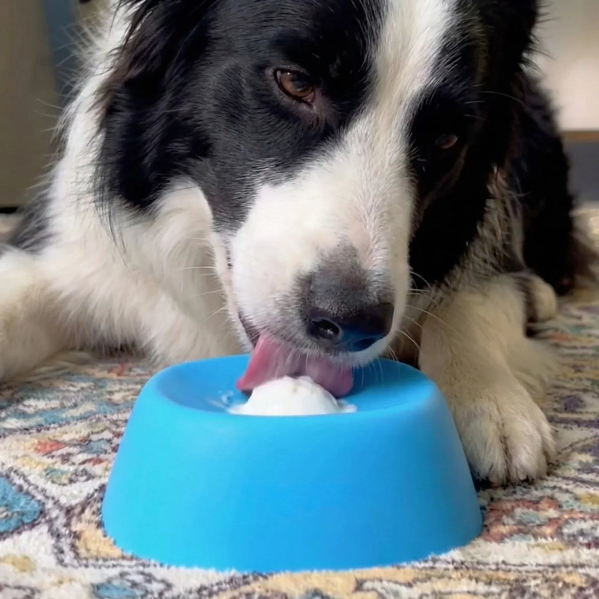 Calming Lick Bowl