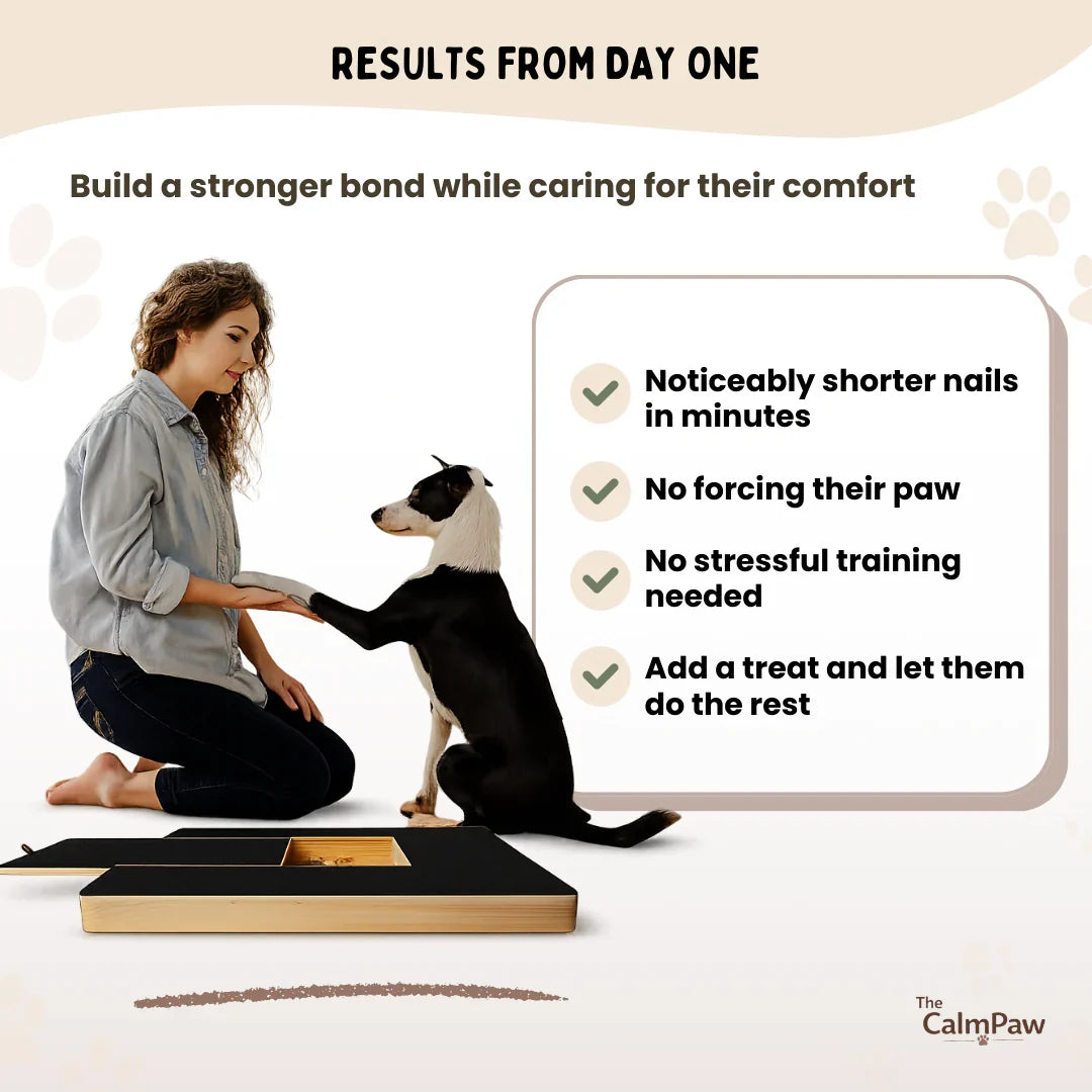 Dog Nail Scratch Board