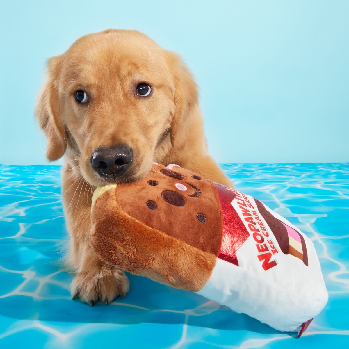 Grand Slam Ice Cream Sam Plush Extra-Large Dog Toy