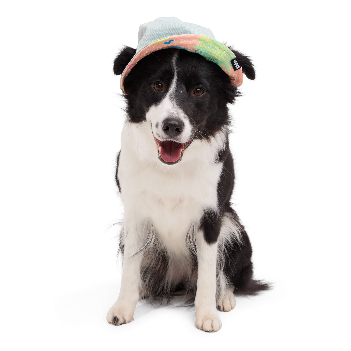 Summertime Reversible Bucket Dog Hat