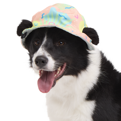 Summertime Reversible Bucket Dog Hat