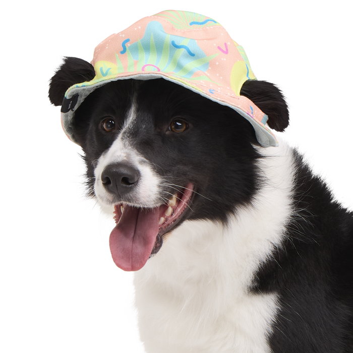 Summertime Reversible Bucket Dog Hat