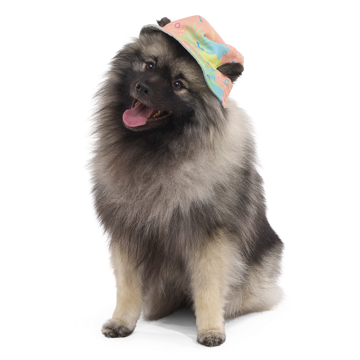 Summertime Reversible Bucket Dog Hat