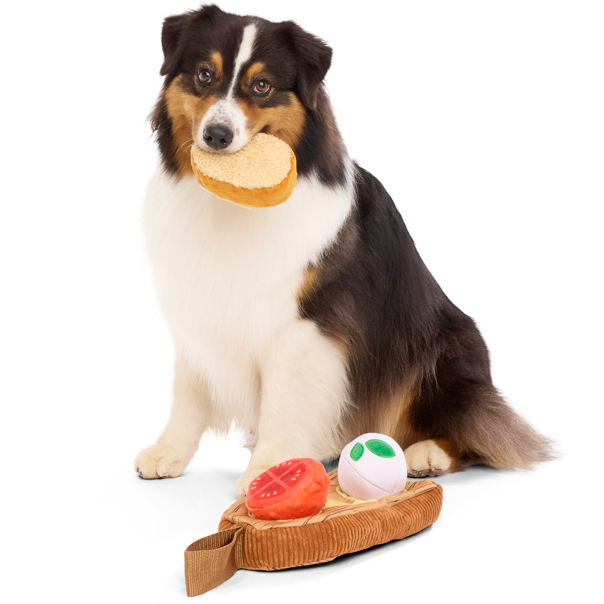 Antipawsto Board Plush Multi-Part + Enrichment Dog Toy