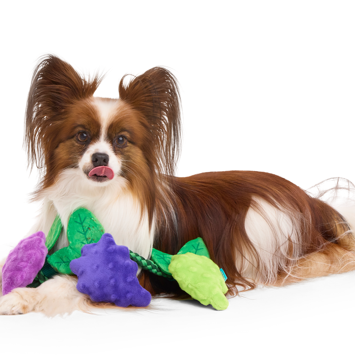 Chew The Grapevine Plush Tug Dog Toy