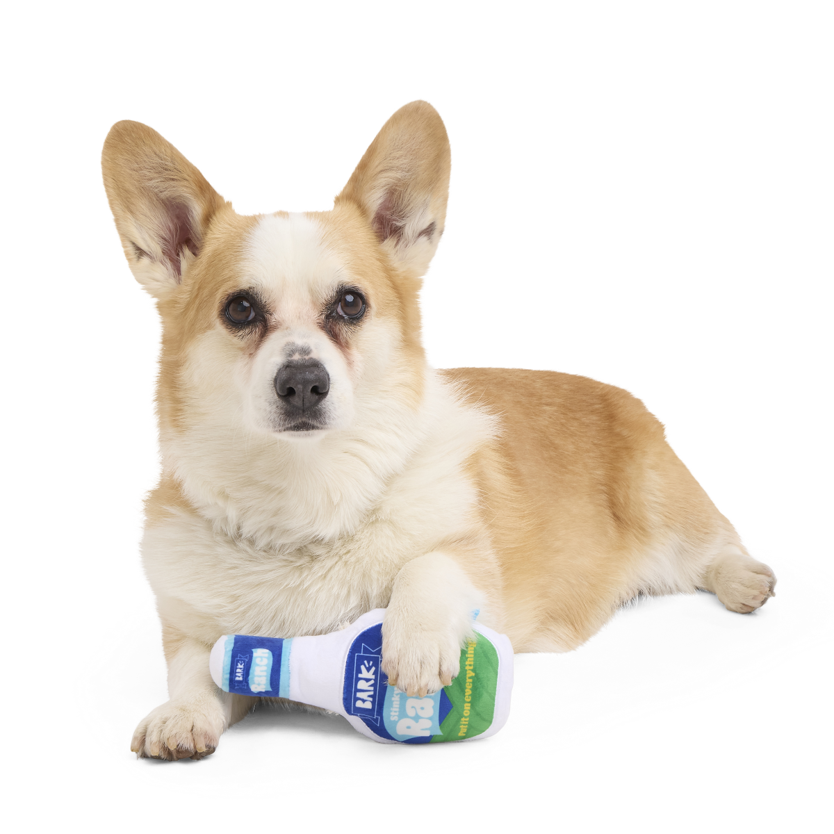 Stinky Valley Ranch Plush Tug Dog Toy