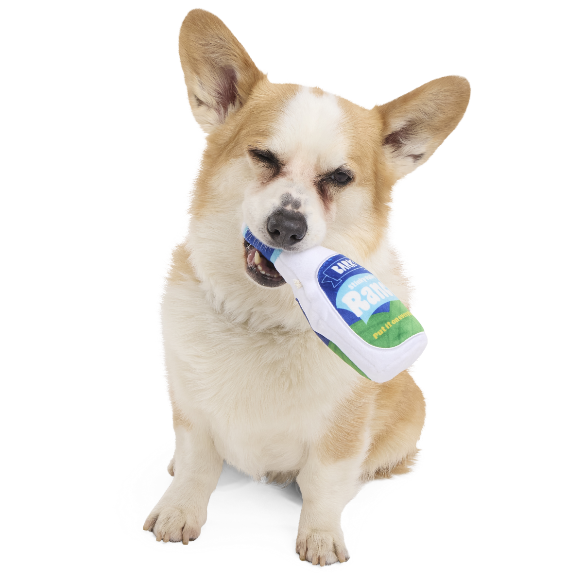 Stinky Valley Ranch Plush Tug Dog Toy