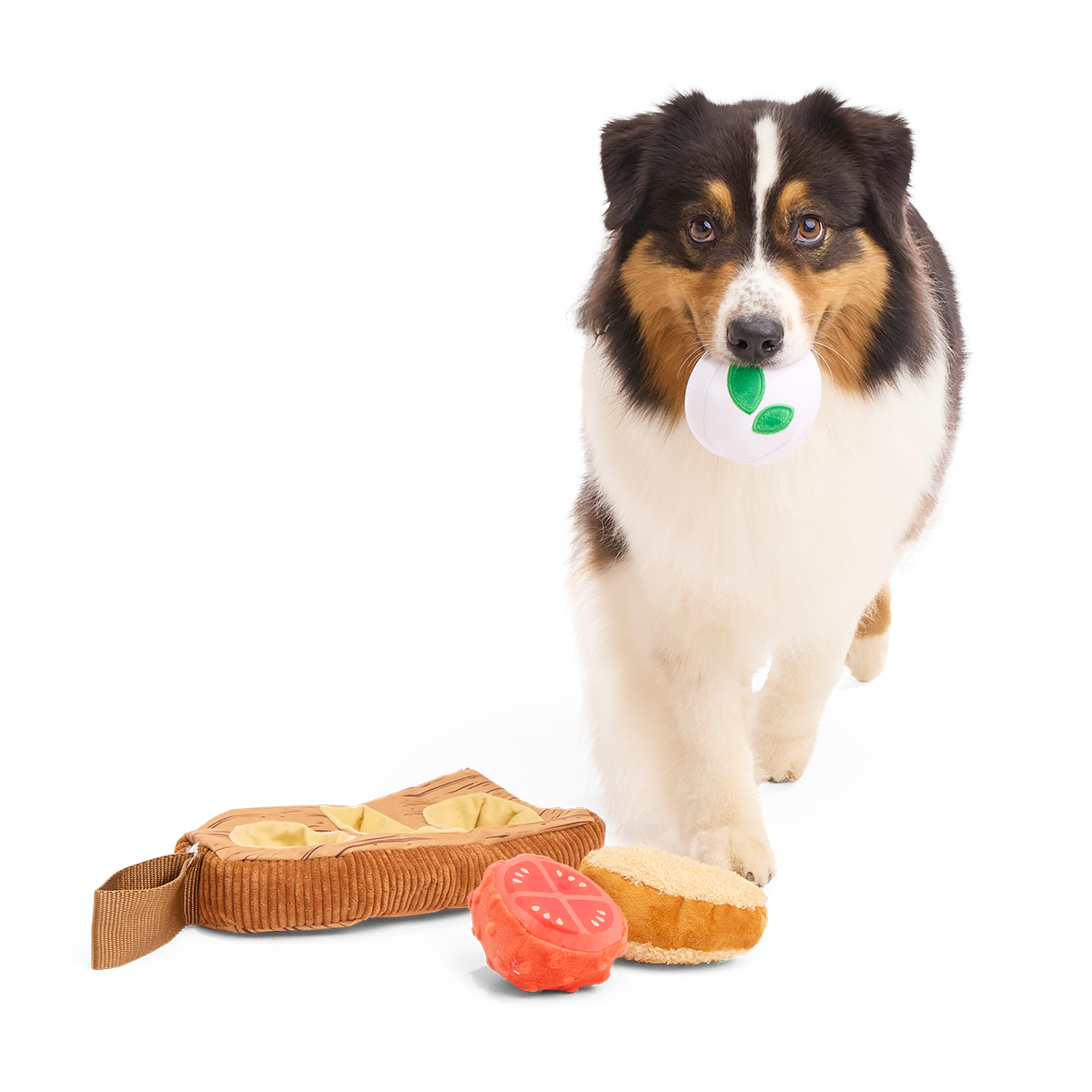 Antipawsto Board Plush Multi-Part + Enrichment Dog Toy