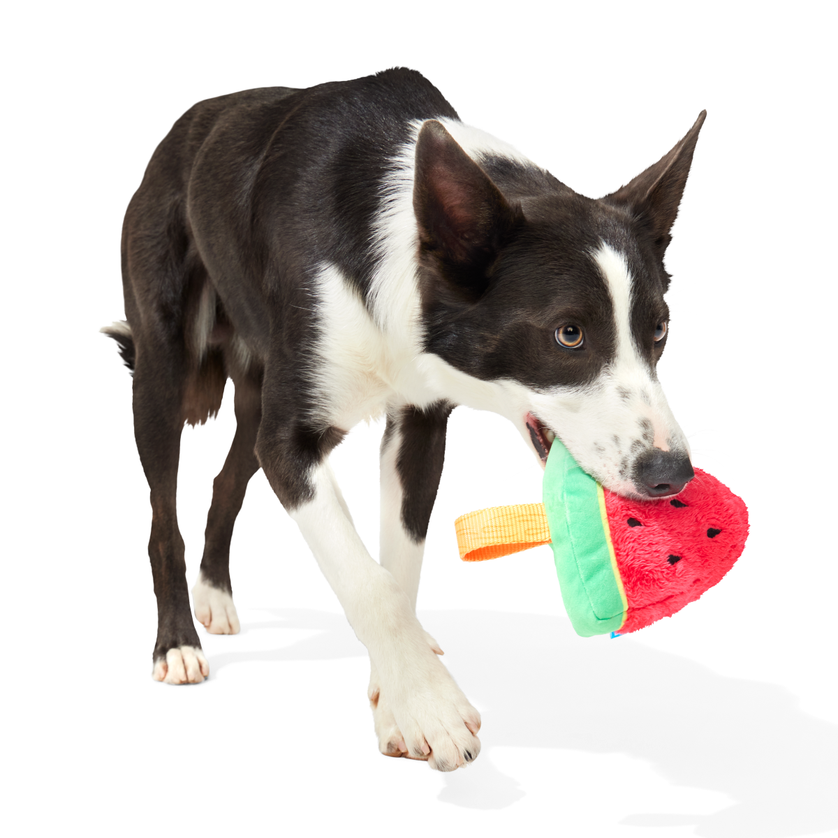 Slobbermelon Pop Plush Tug Dog Toy