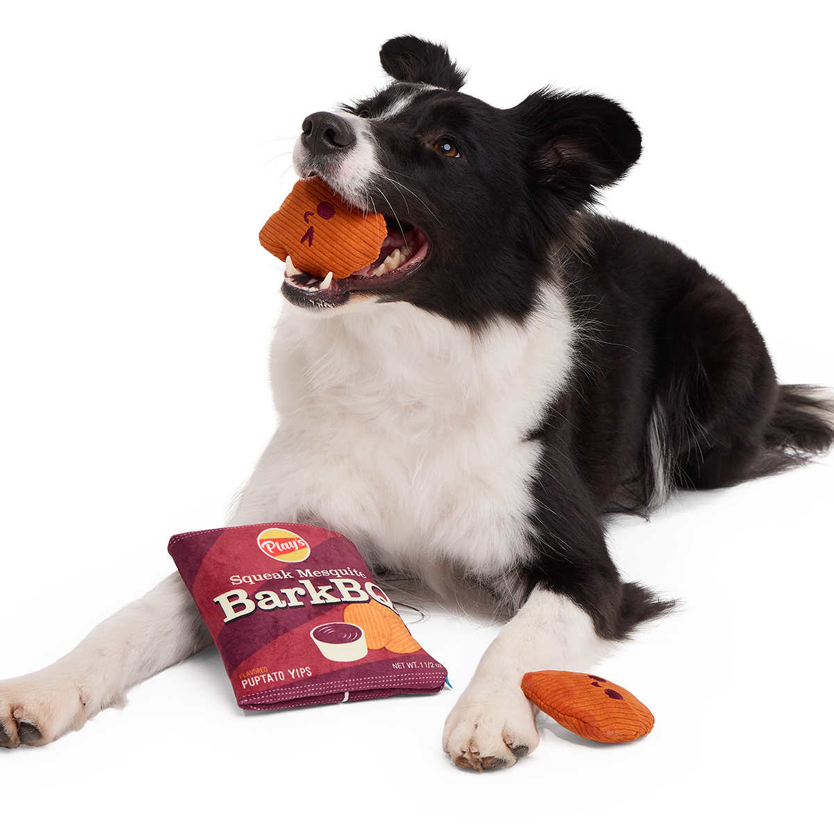 BarkBQ Chips Plush Multi-Part + Enrichment Dog Toy