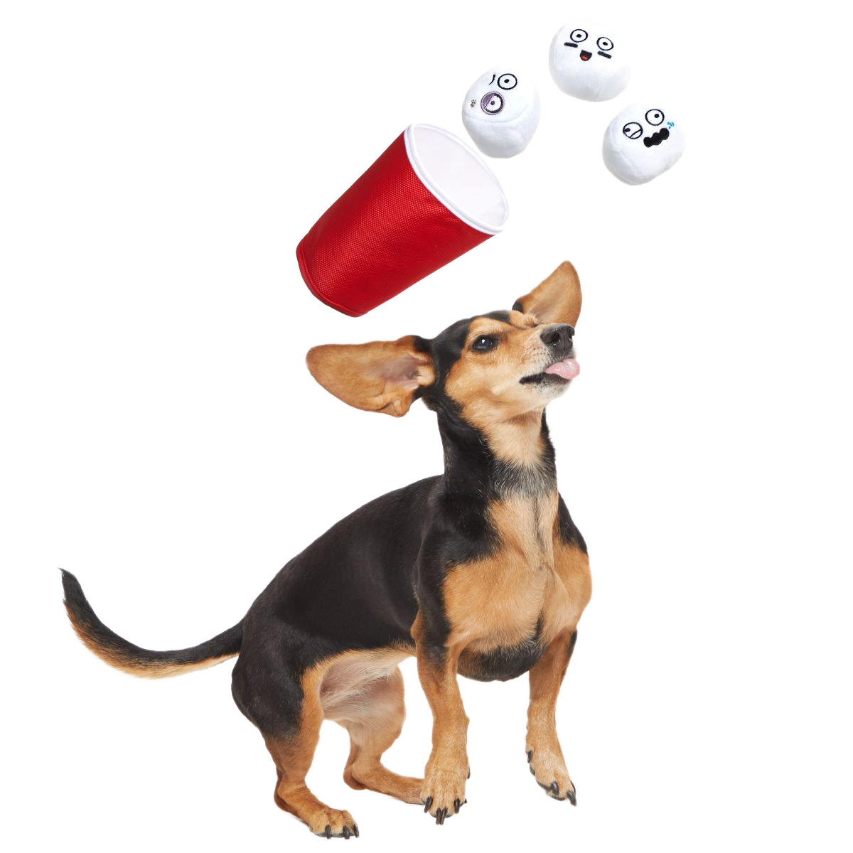 Bark Pong Cup Plush Multi-Part + Fetch Dog Toy