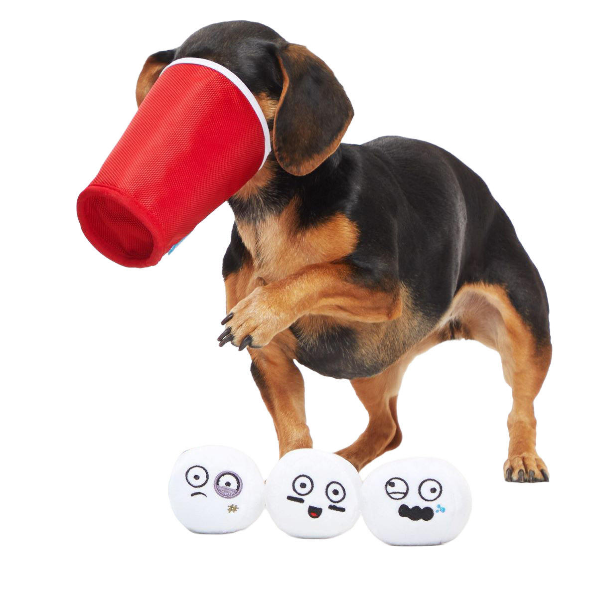 Bark Pong Cup Plush Multi-Part + Fetch Dog Toy
