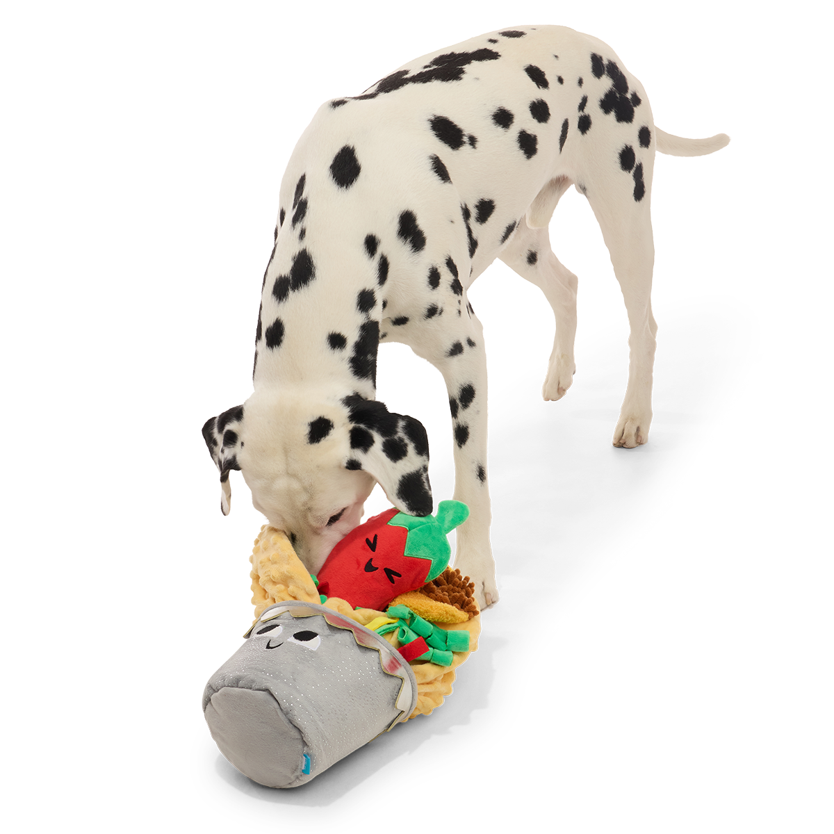 Extra-Snuffed Burrito Plush Extra-Large + Multi-Part + Enrichment Dog Toy