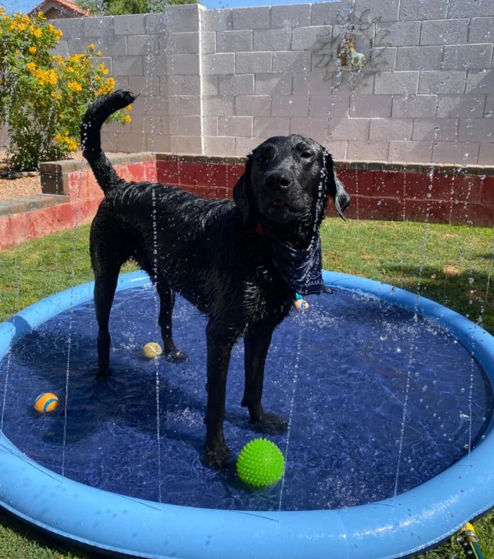 CutySplash™