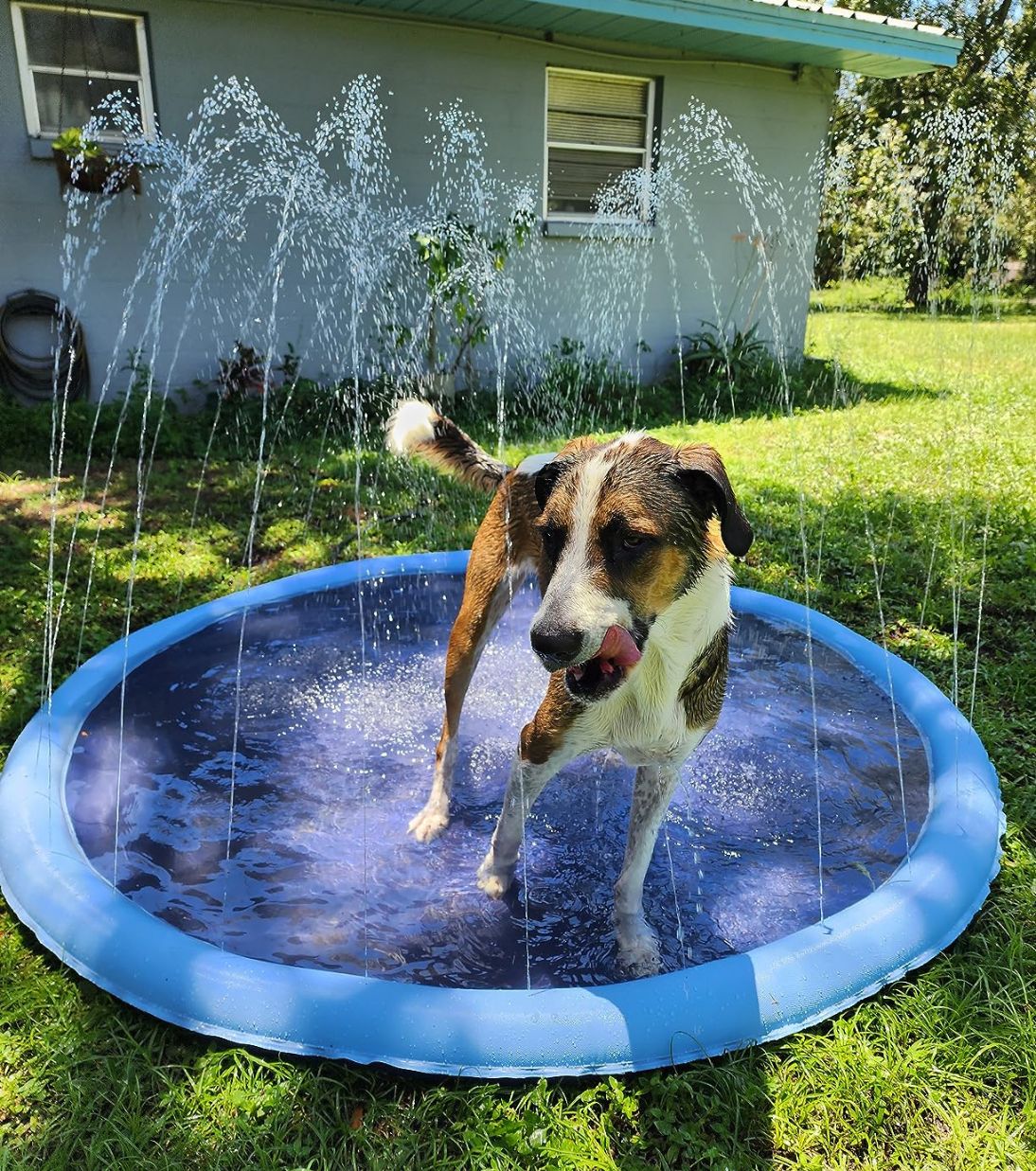 CutySplash™