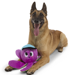 Final Boss Ollie Plush Extra-Large + Tug Dog Toy
