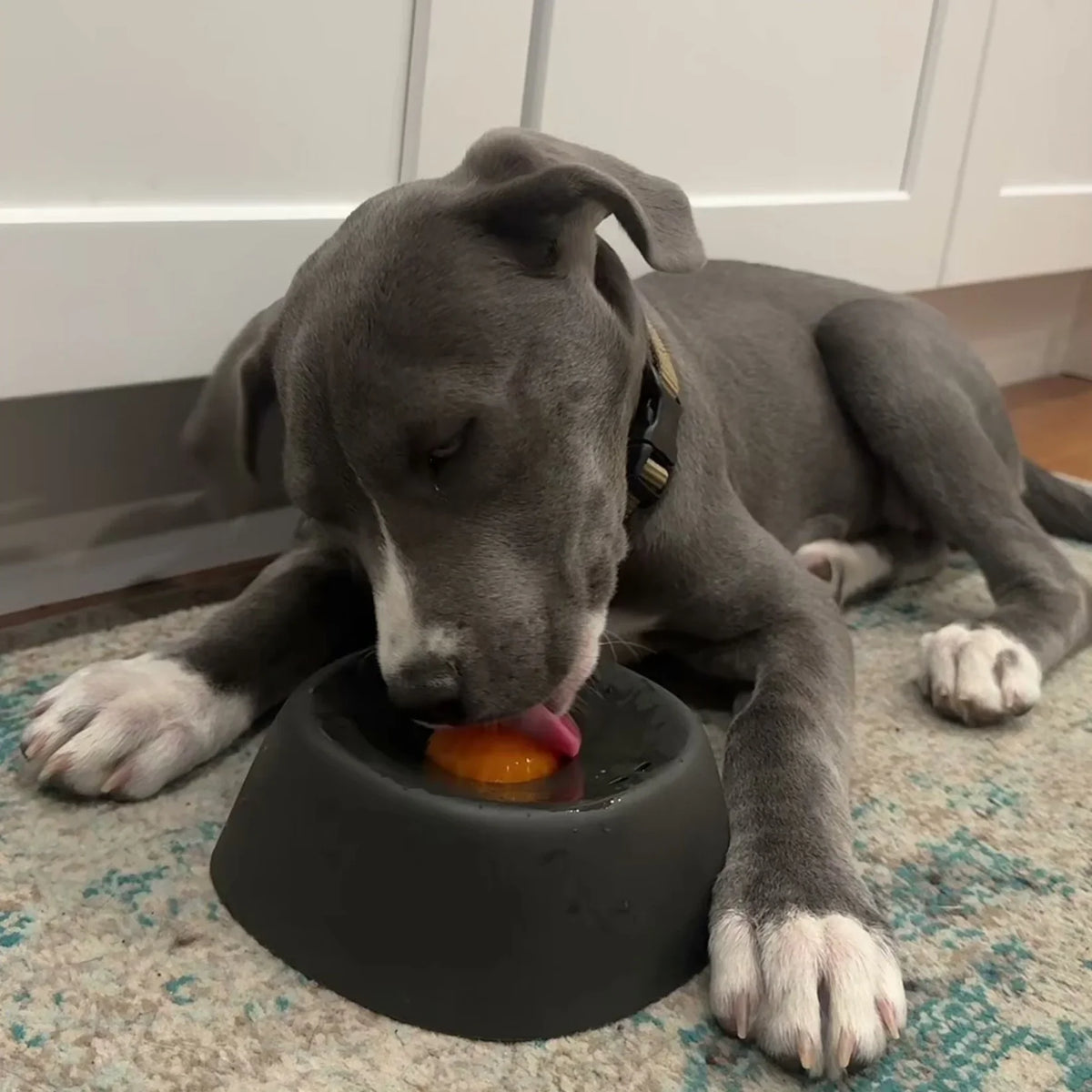 Calming Lick Bowl