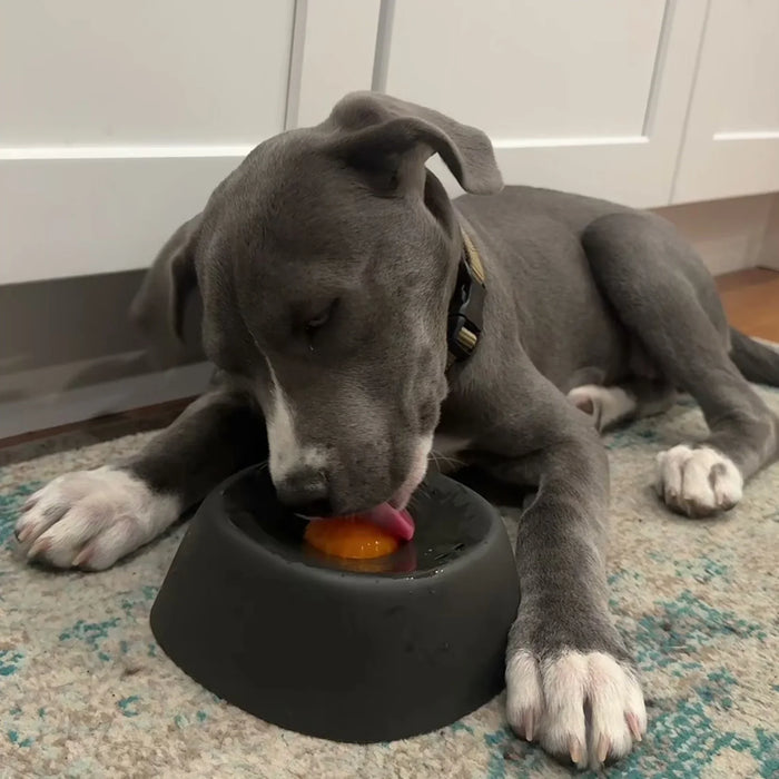 Calming Lick Bowl