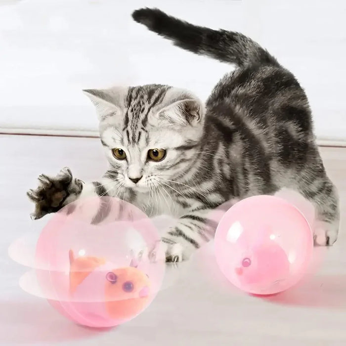 Rolling Hamster Ball