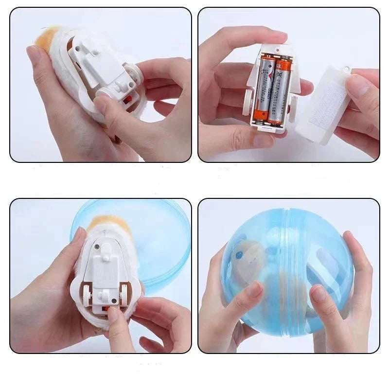 Rolling Hamster Ball