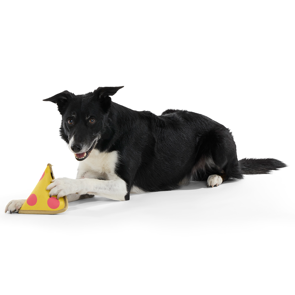 Lil Squeaker's Pizza Super Chewer Durable 2-in-1 Fetch Dog Toy