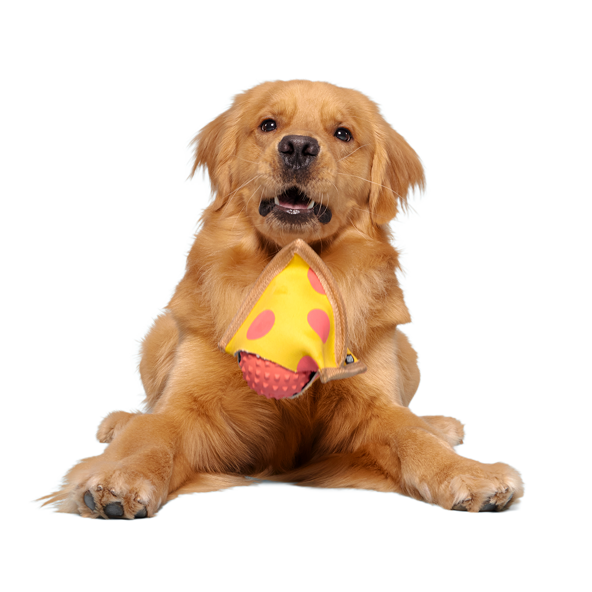 Lil Squeaker's Pizza Super Chewer Durable 2-in-1 Fetch Dog Toy