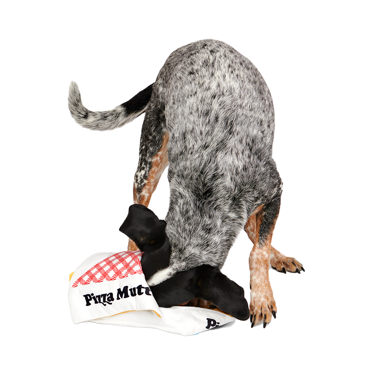 Pizza Pawty Plush Multi-Part + Enrichment Dog Toy