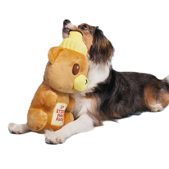 Sticky Paws Honey Bear Plush Extra-Large Dog Toy