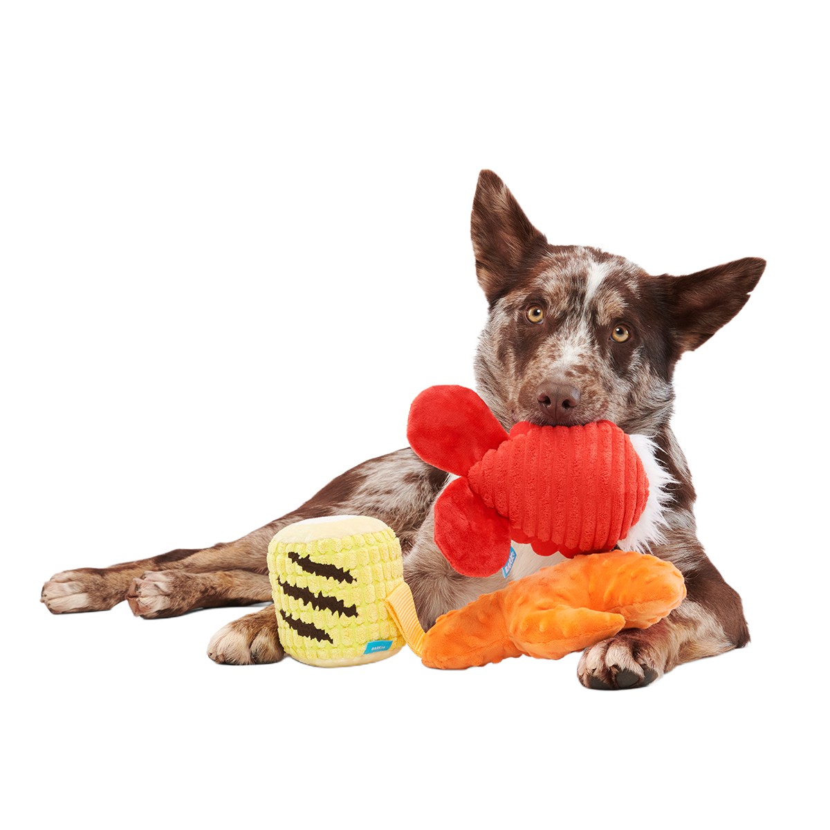 The Maine Event Plush Multi-Part Dog Toy