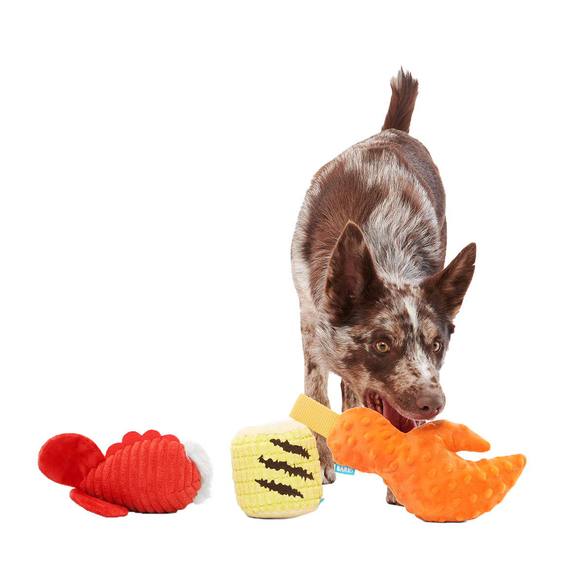The Maine Event Plush Multi-Part Dog Toy